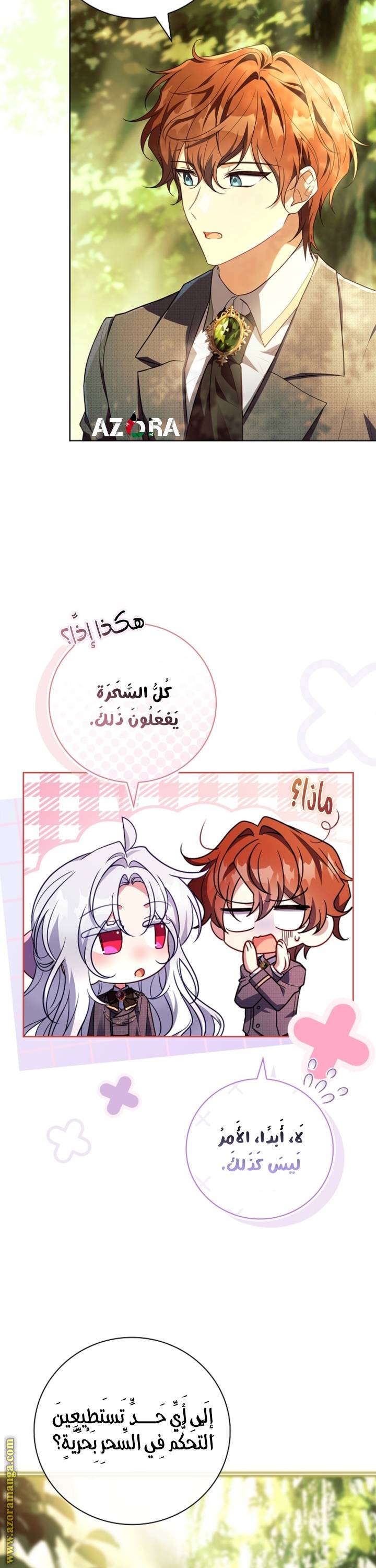 الصفحة 27