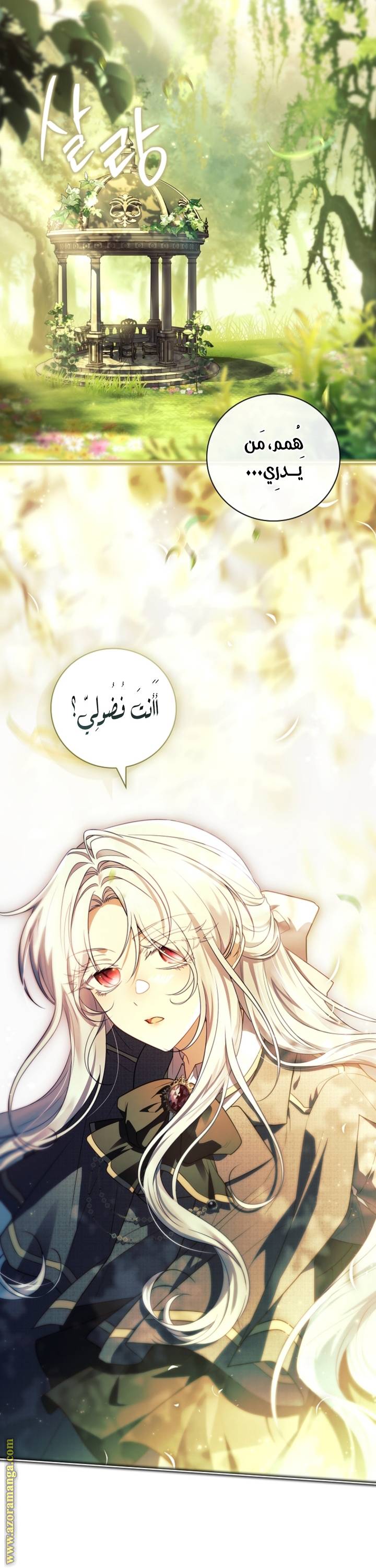 الصفحة 28
