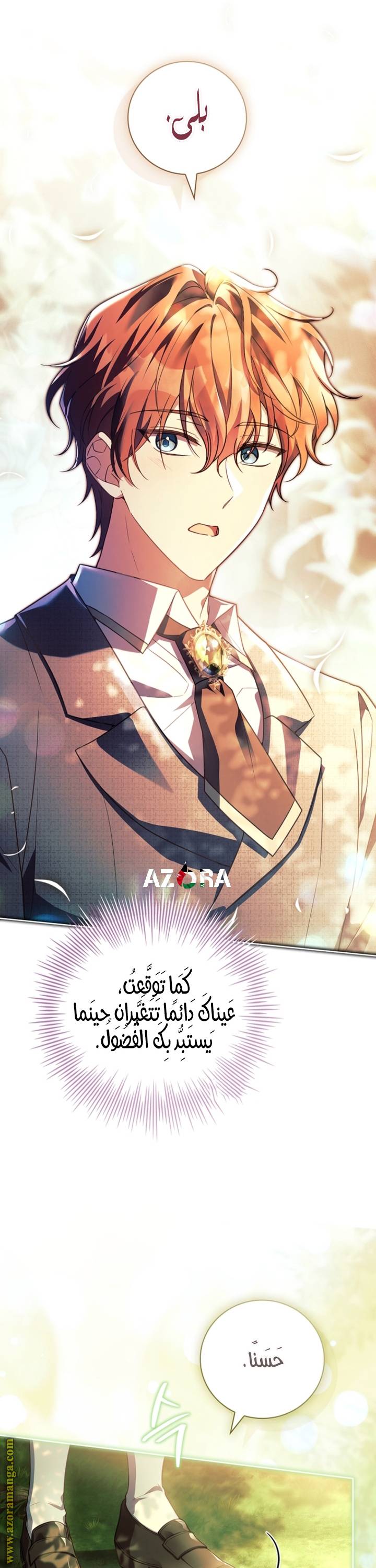 الصفحة 29