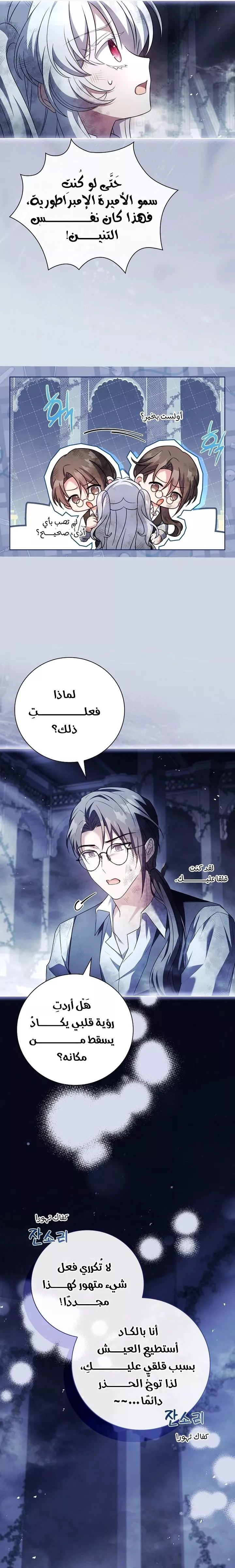 الصفحة 17