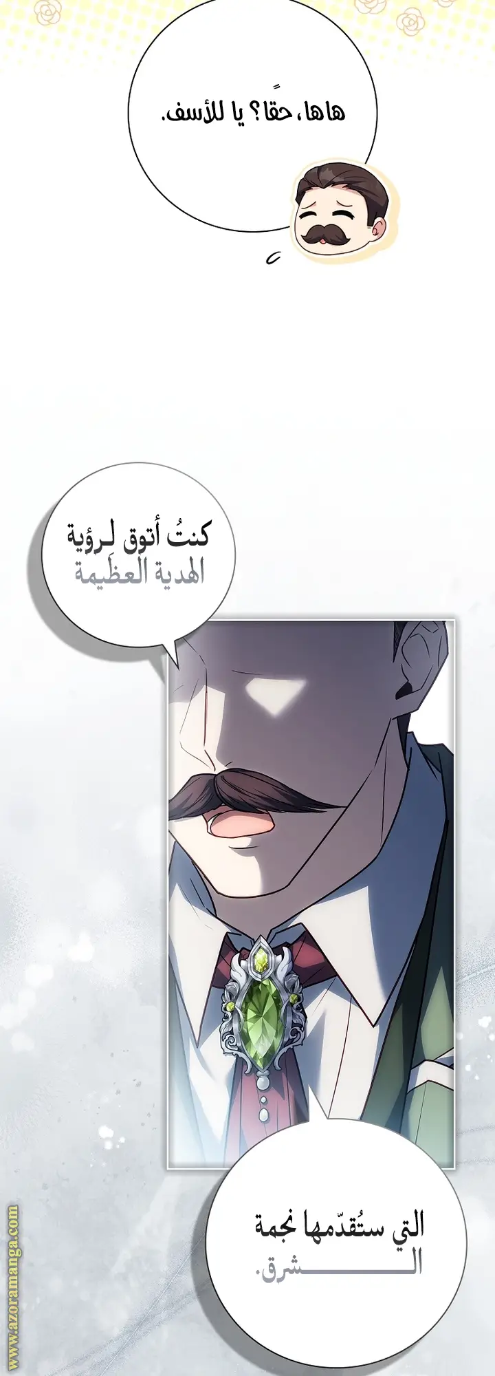 الصفحة 31