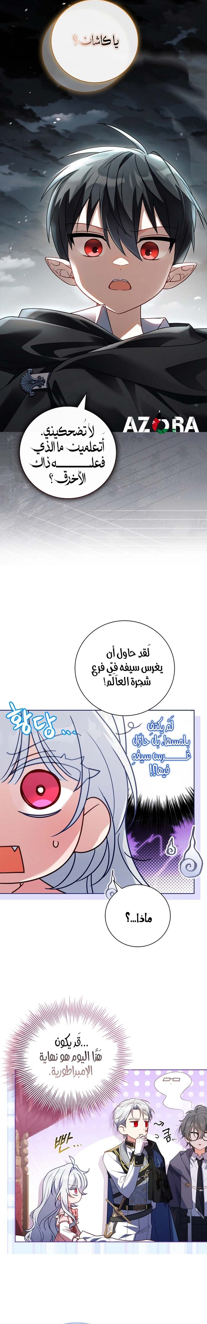 الصفحة 29