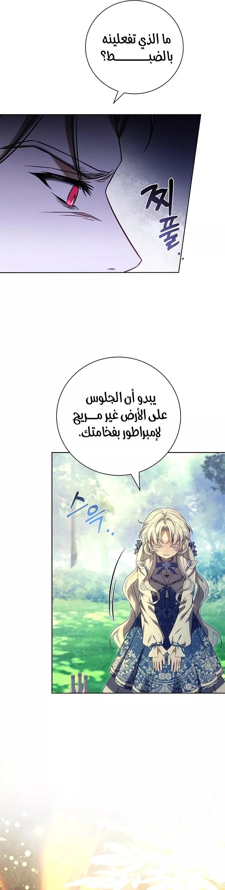 الصفحة 17