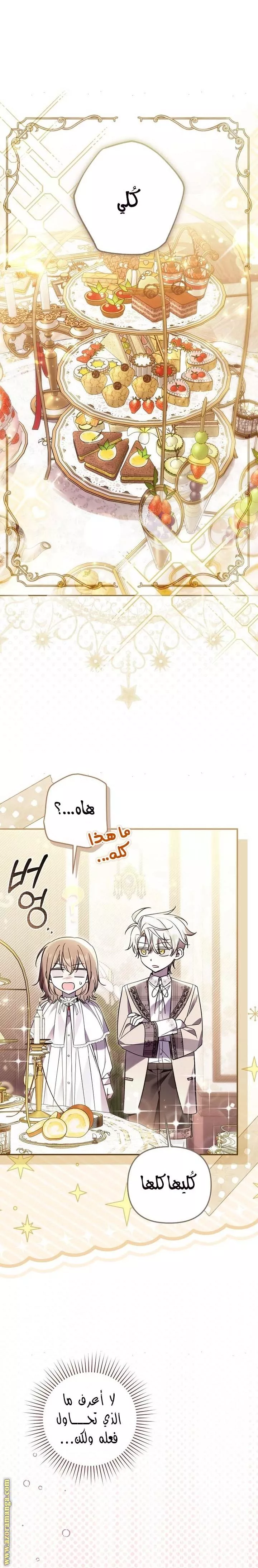 الصفحة 19