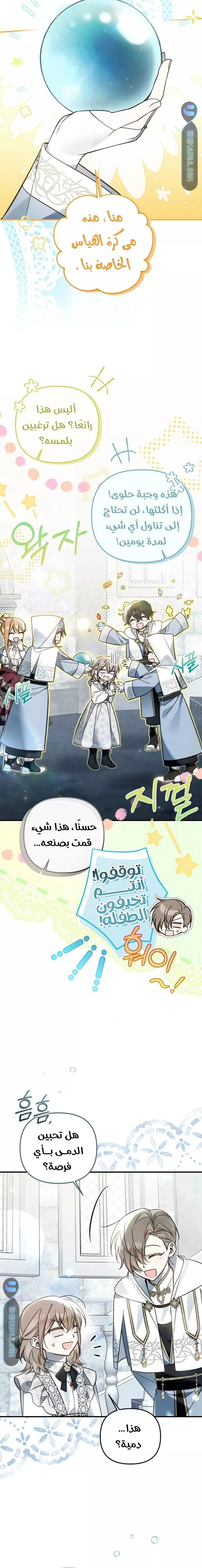 الصفحة 17