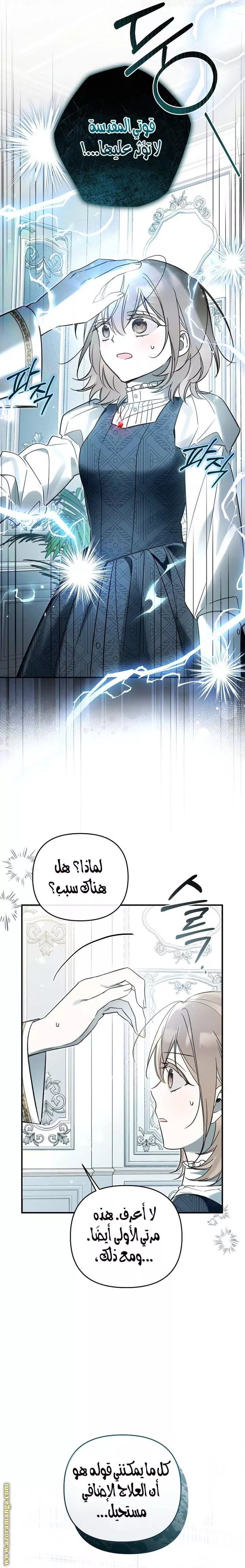 الصفحة 19