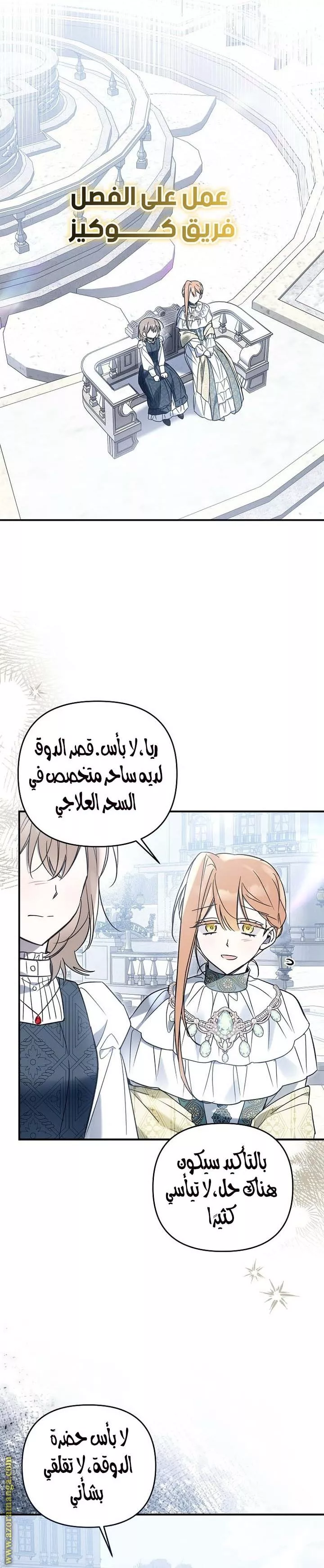 الصفحة 20