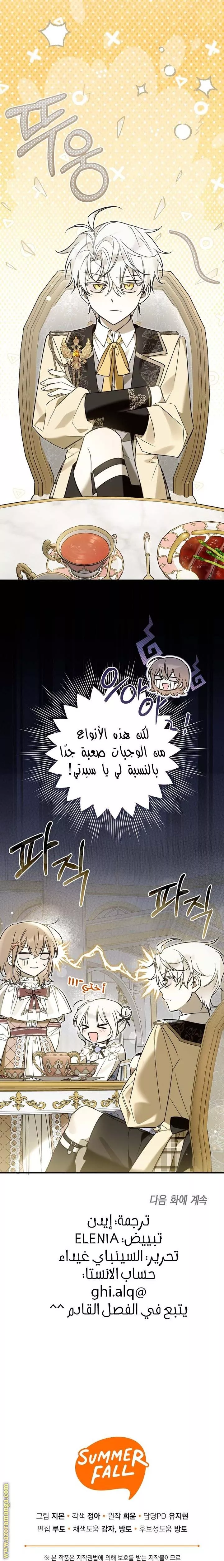 الصفحة 25