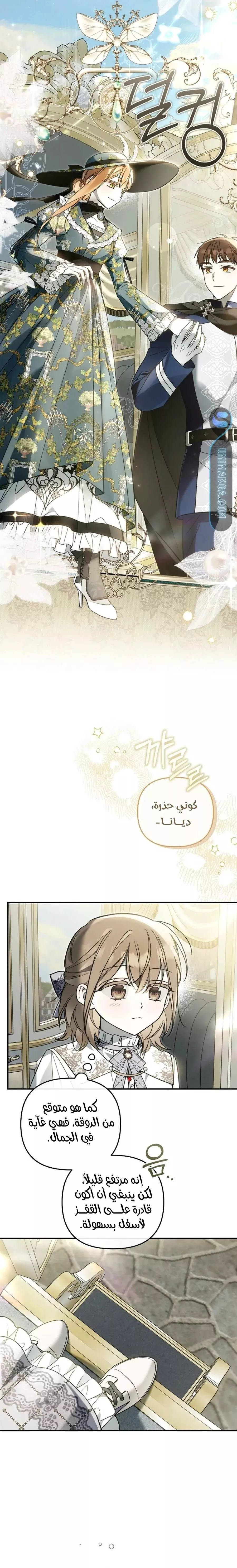 الصفحة 12