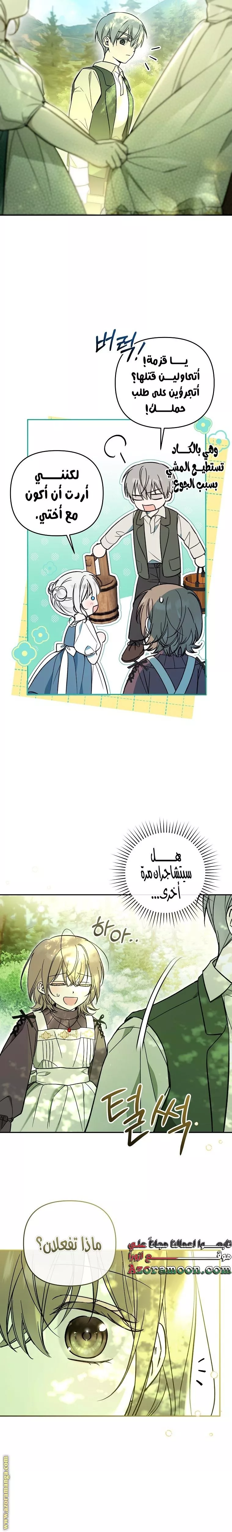 الصفحة 21