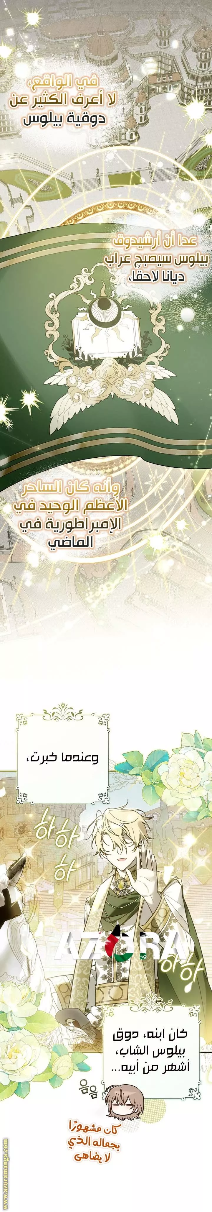الصفحة 17