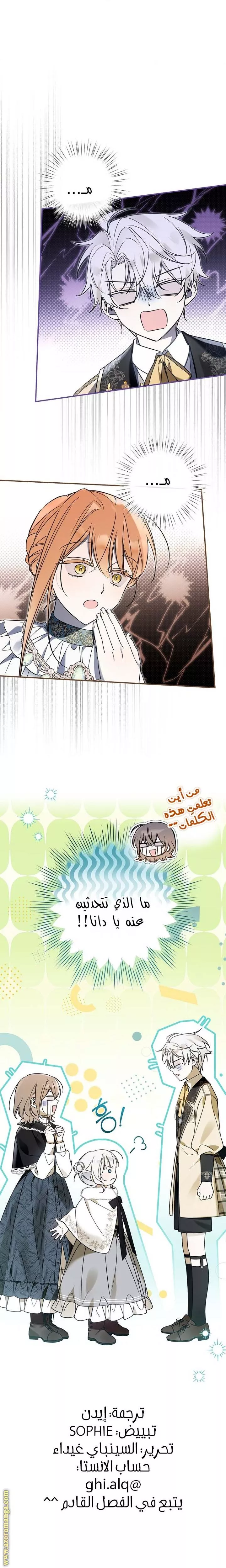 الصفحة 26