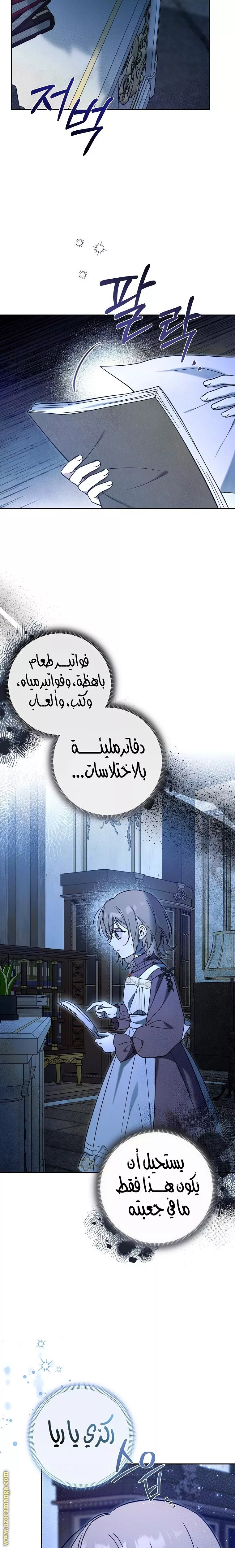 الصفحة 17