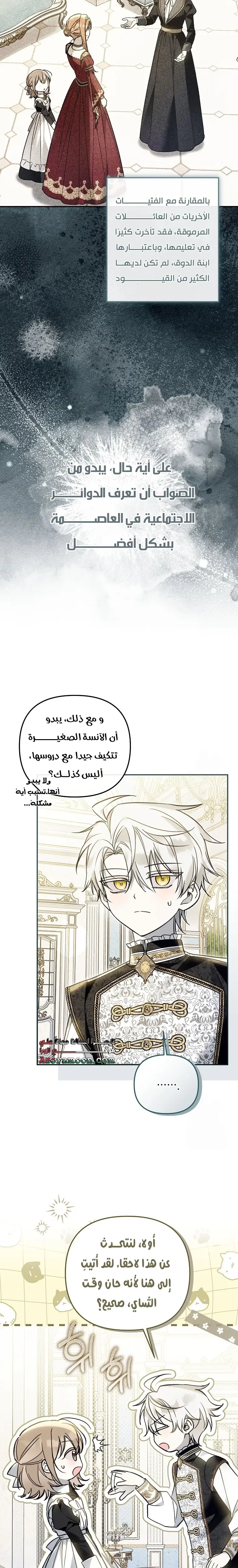 الصفحة 13