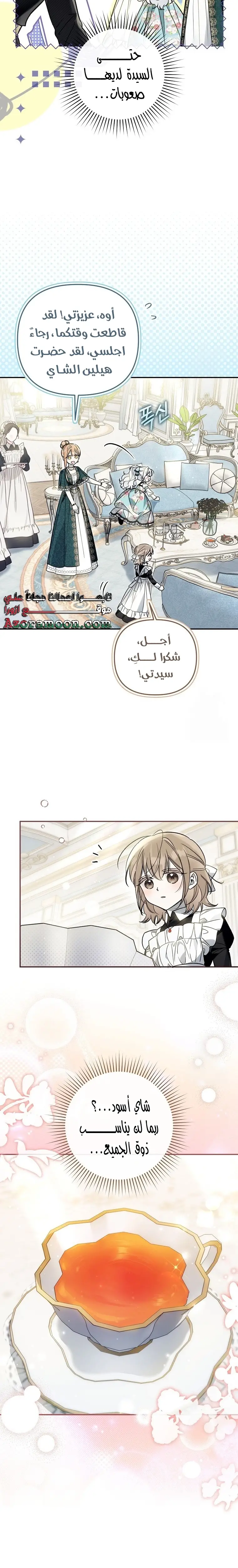 الصفحة 17