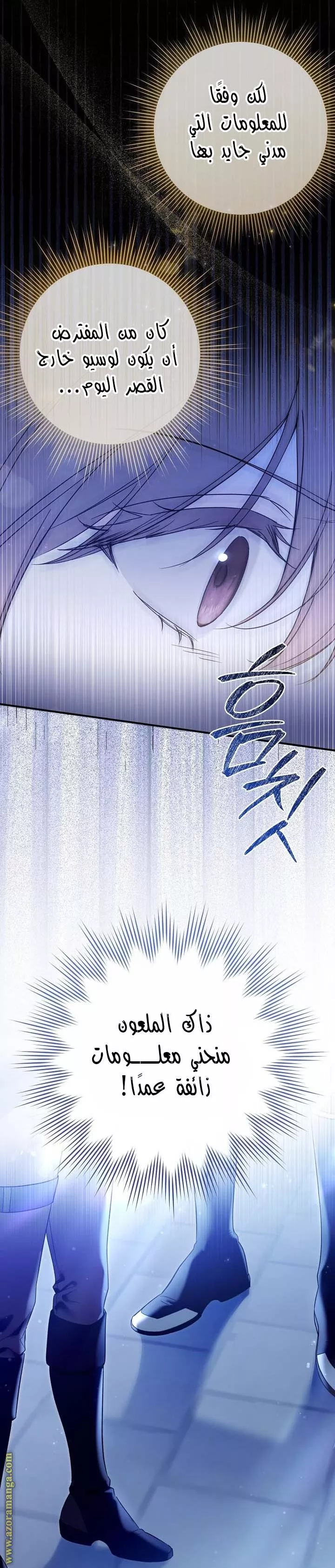الصفحة 26