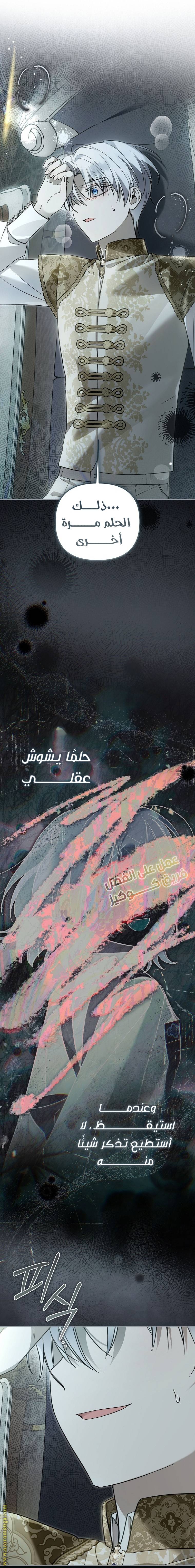 الصفحة 13