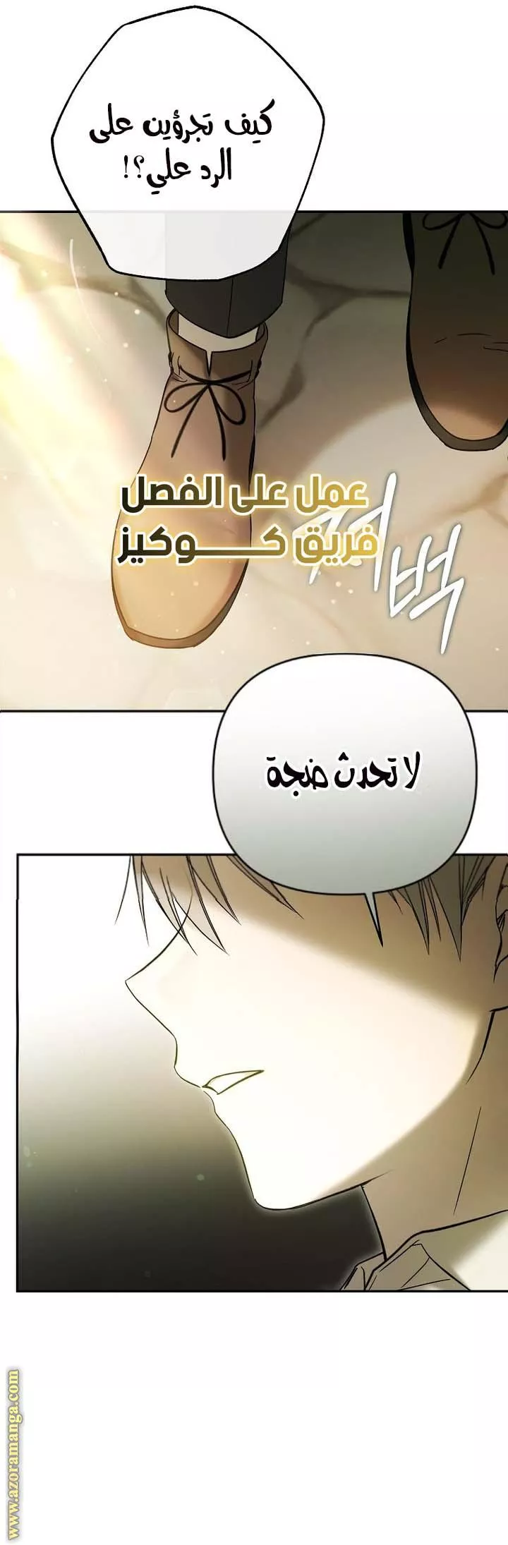الصفحة 13