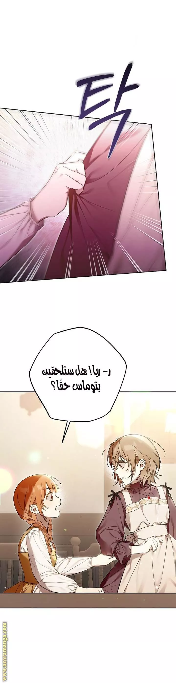 الصفحة 17