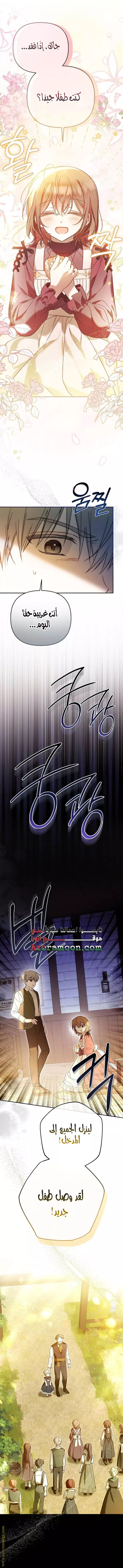 الصفحة 25
