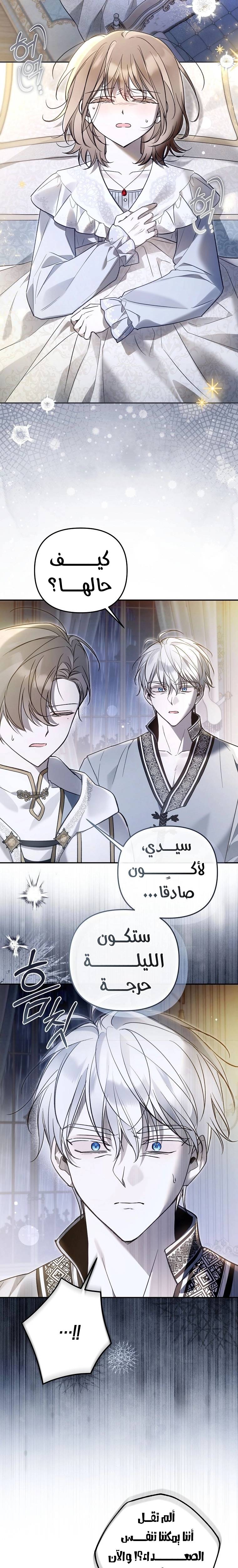 الصفحة 17