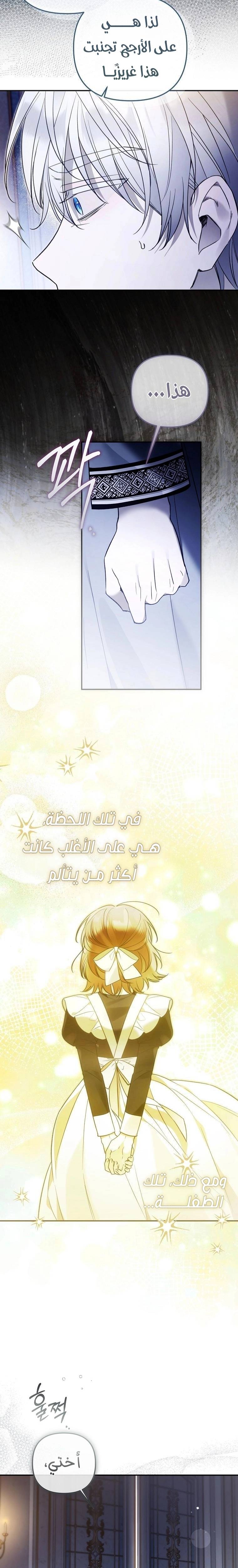 الصفحة 19
