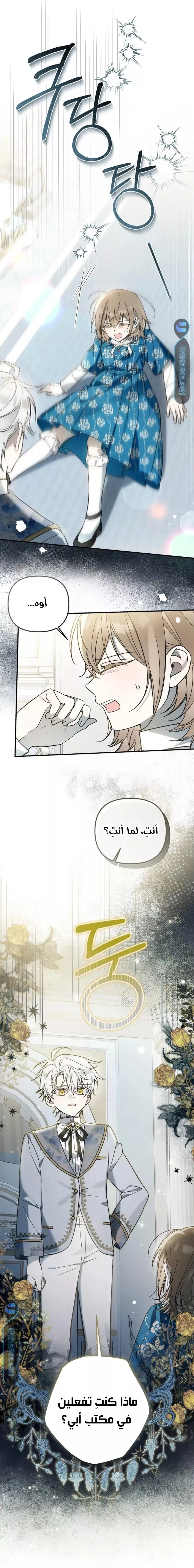 الصفحة 13