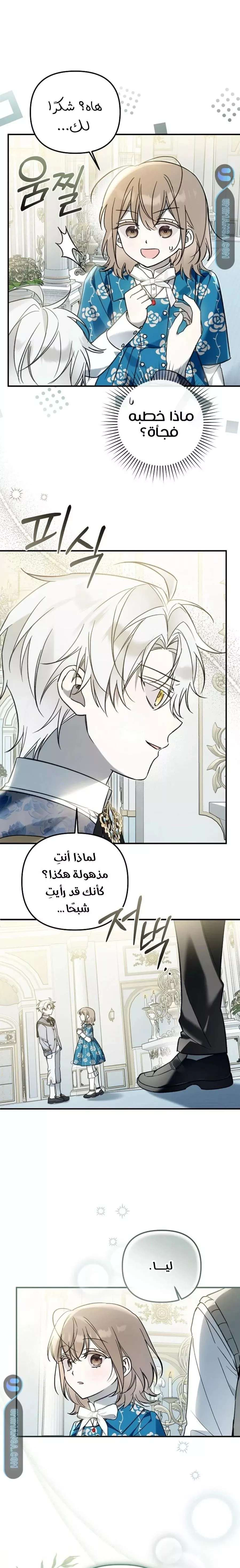 الصفحة 17