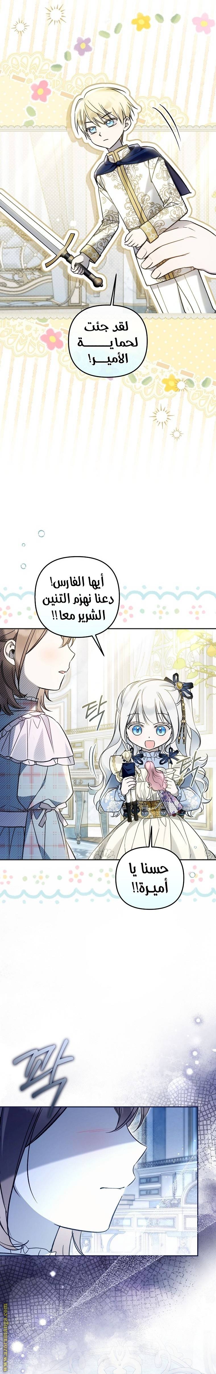 الصفحة 24