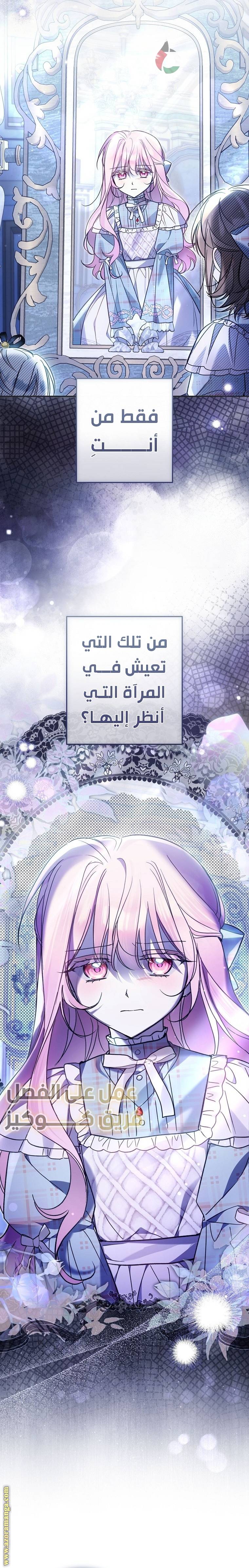 الصفحة 25