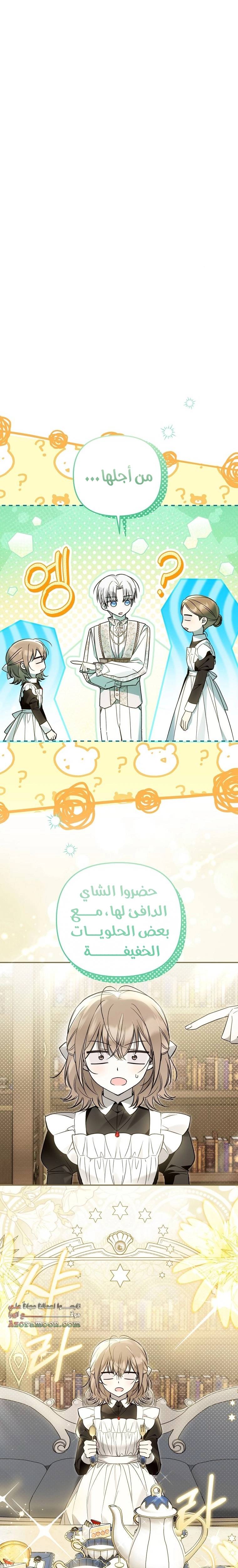الصفحة 17