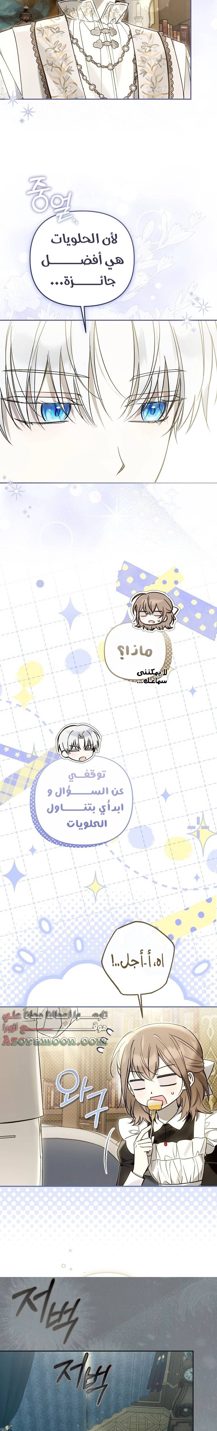الصفحة 19