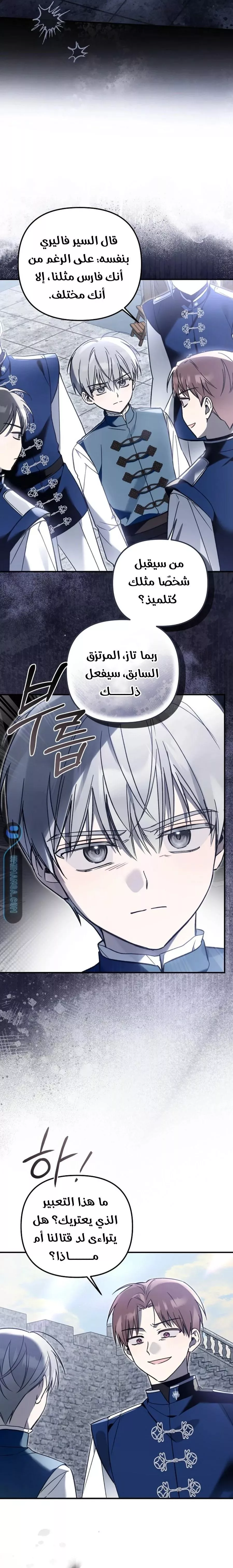 الصفحة 11