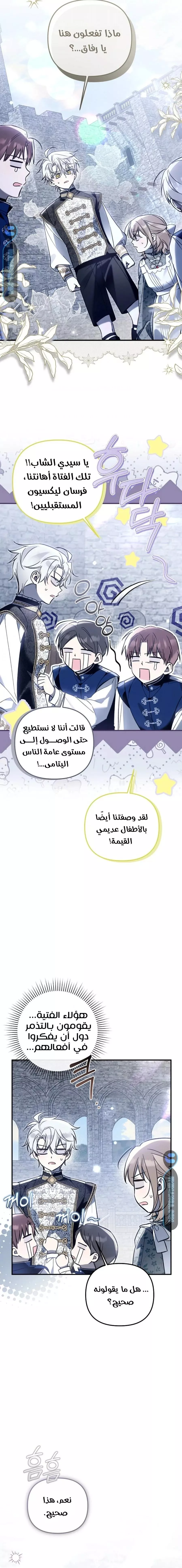 الصفحة 16