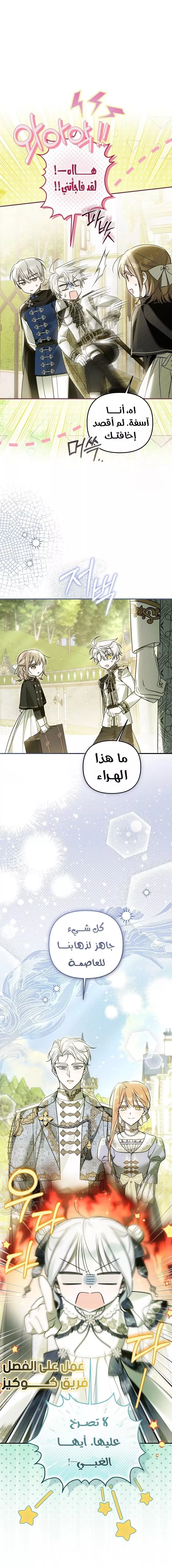 الصفحة 19