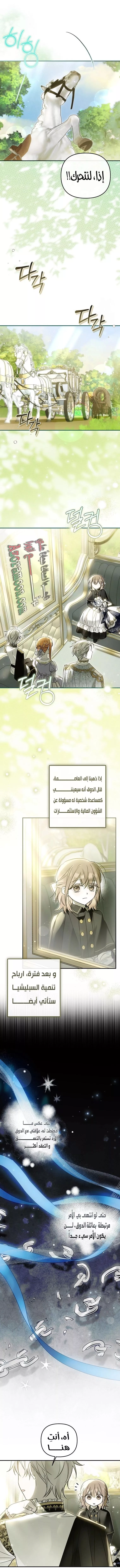 الصفحة 24