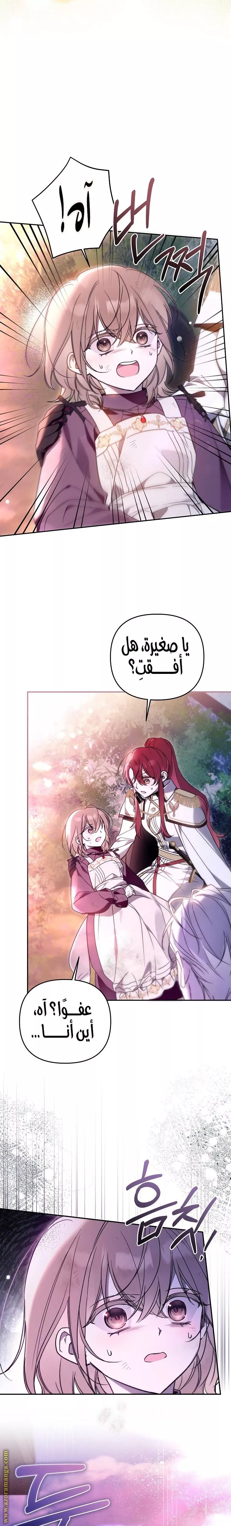 الصفحة 12