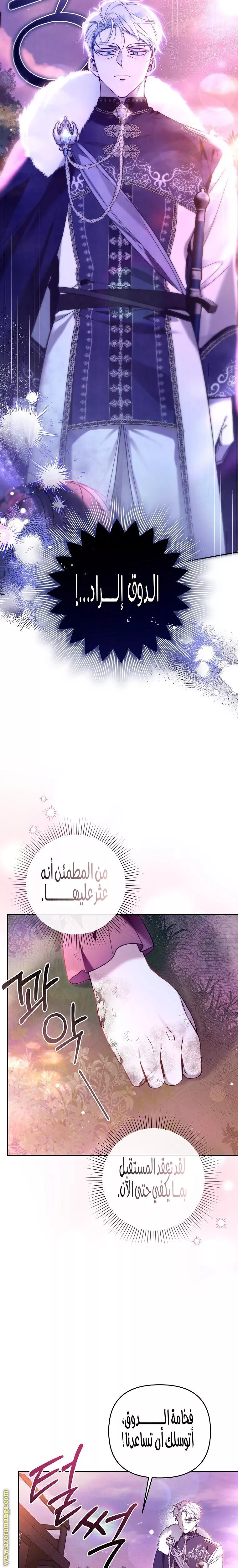 الصفحة 13