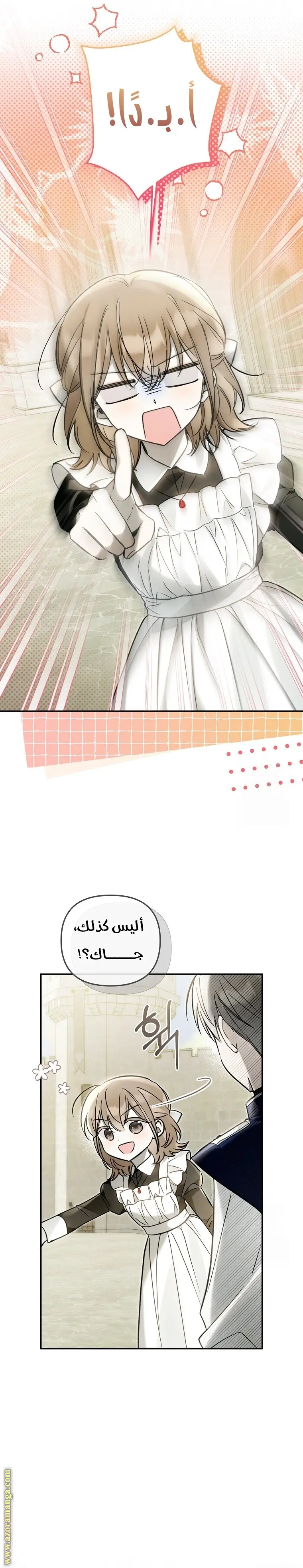 الصفحة 26