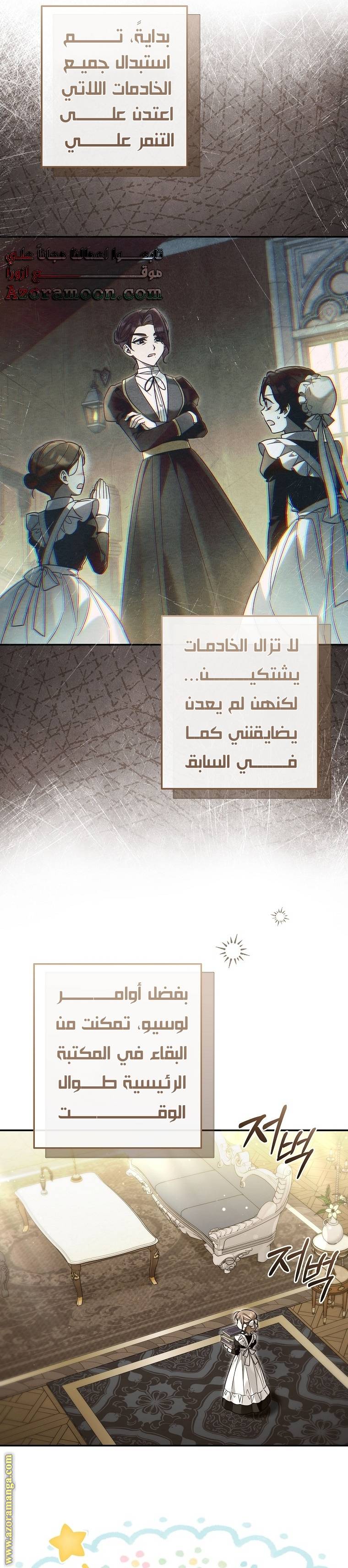 الصفحة 19