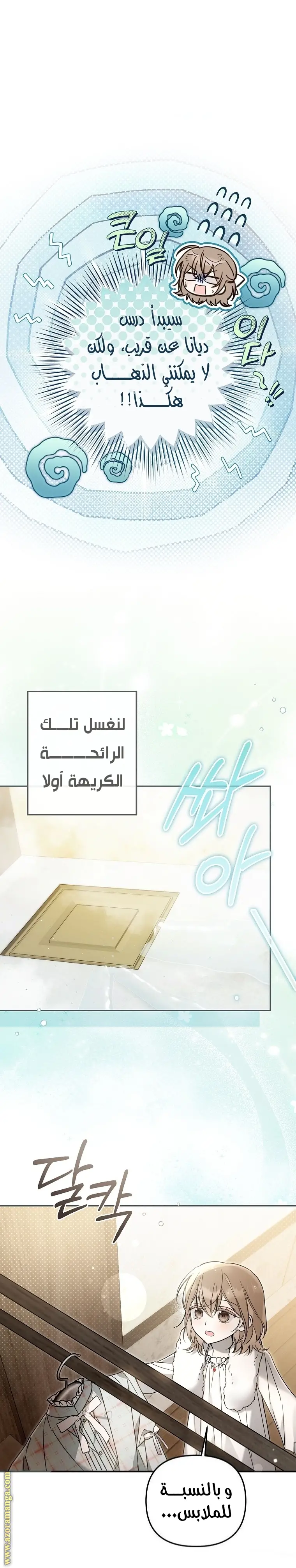 الصفحة 17