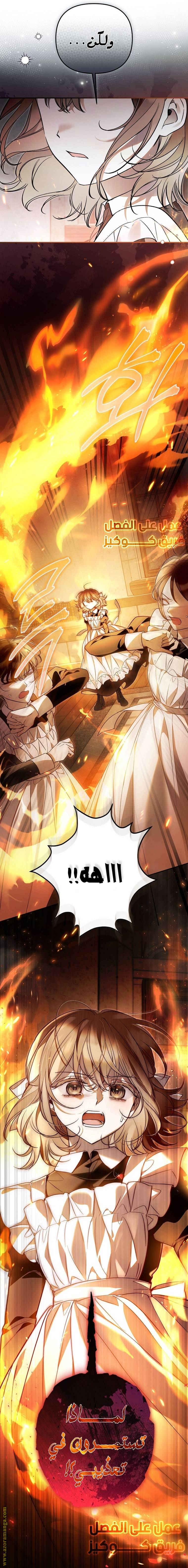 الصفحة 17