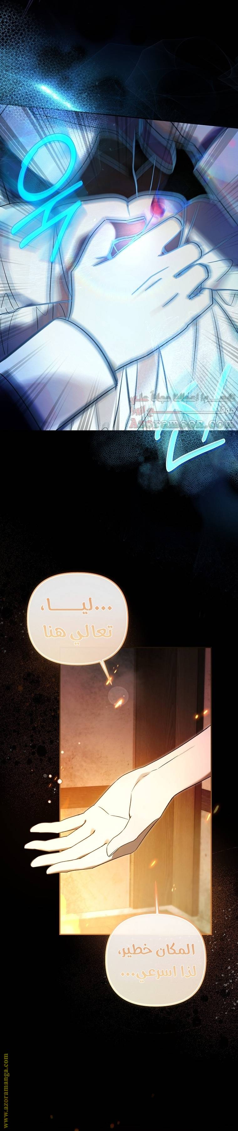 الصفحة 25