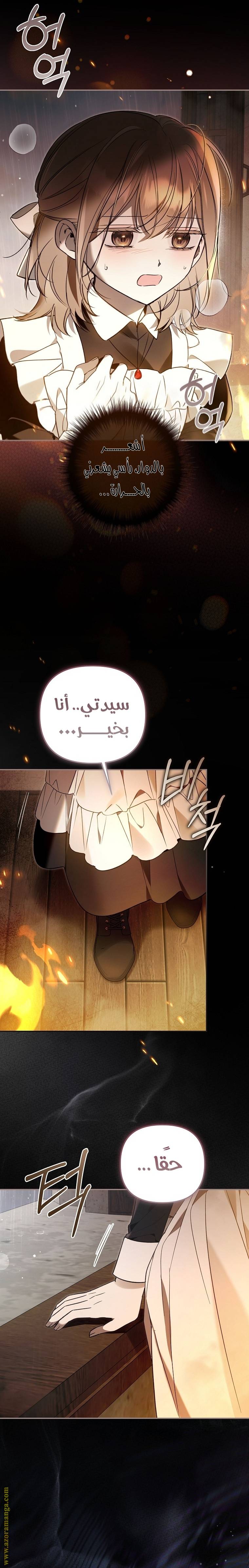 الصفحة 26