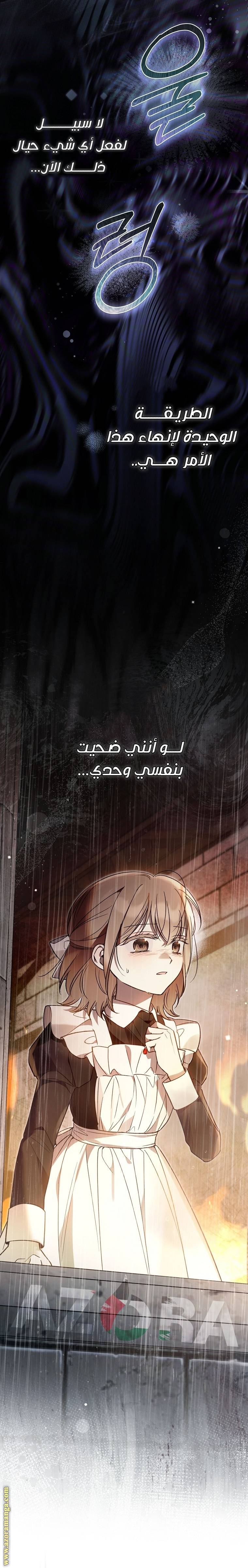 الصفحة 27