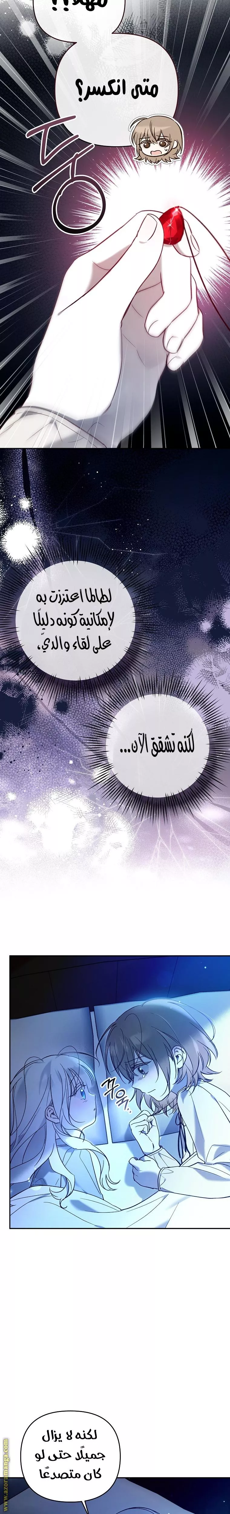 الصفحة 17