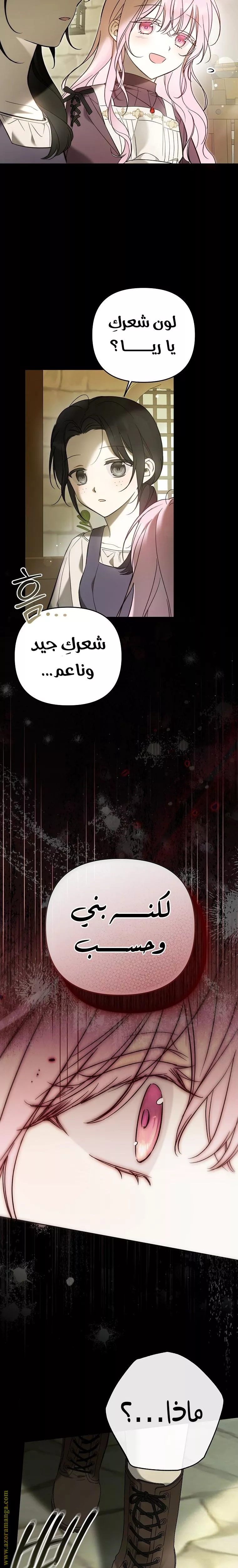الصفحة 22