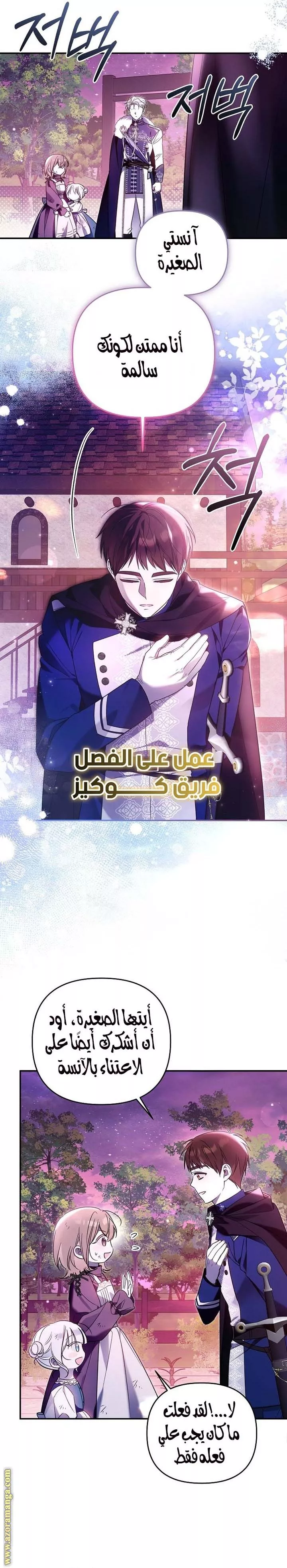 الصفحة 13