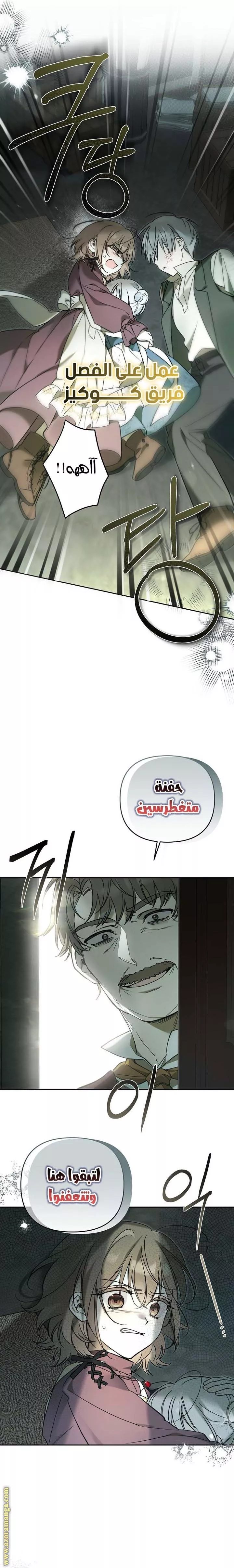 الصفحة 19