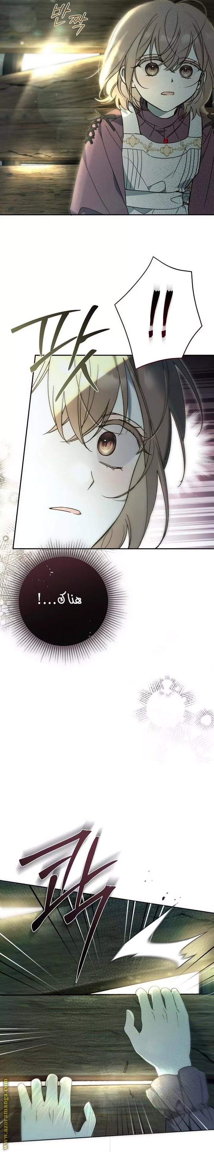 الصفحة 22